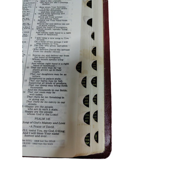 1997 Holy Bible Vine's Expository Reference Edition NKJV Genuine leather - Picture 5 of 5